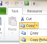 Microsoft Project Copy Picture path Microsoft Project 2010 Copy Picture path